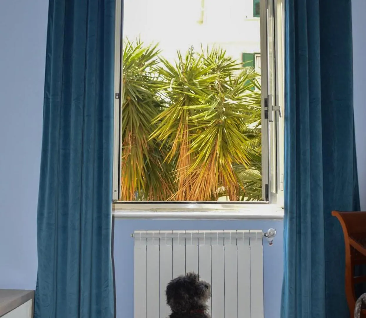 Il Regno Dei Colori Apartment Rome